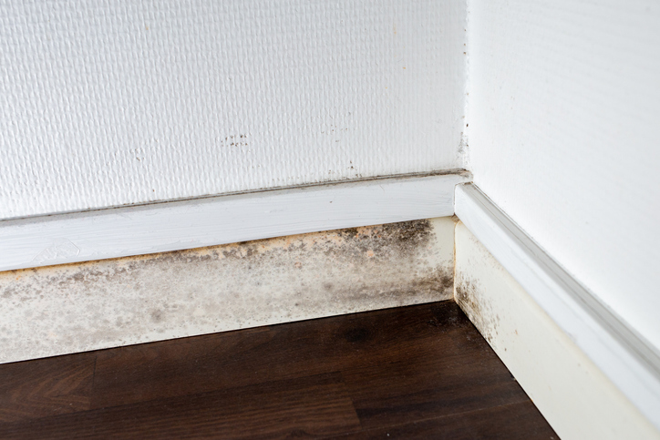 humedades que causan deterioro estético