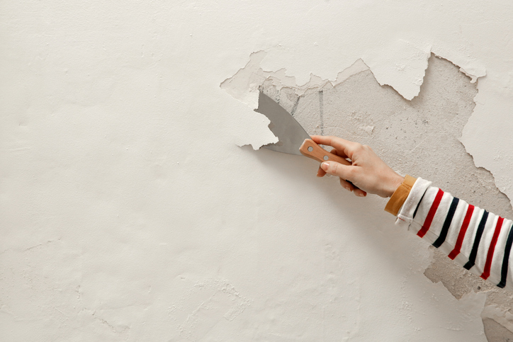 Cómo trabajamos para reparar humedades