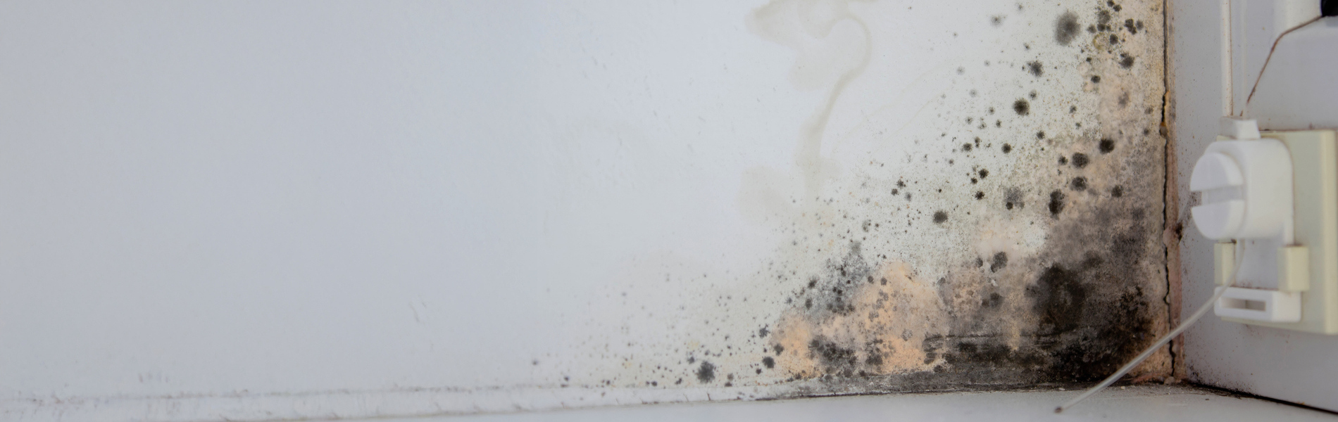 Aisleficiente Humedades